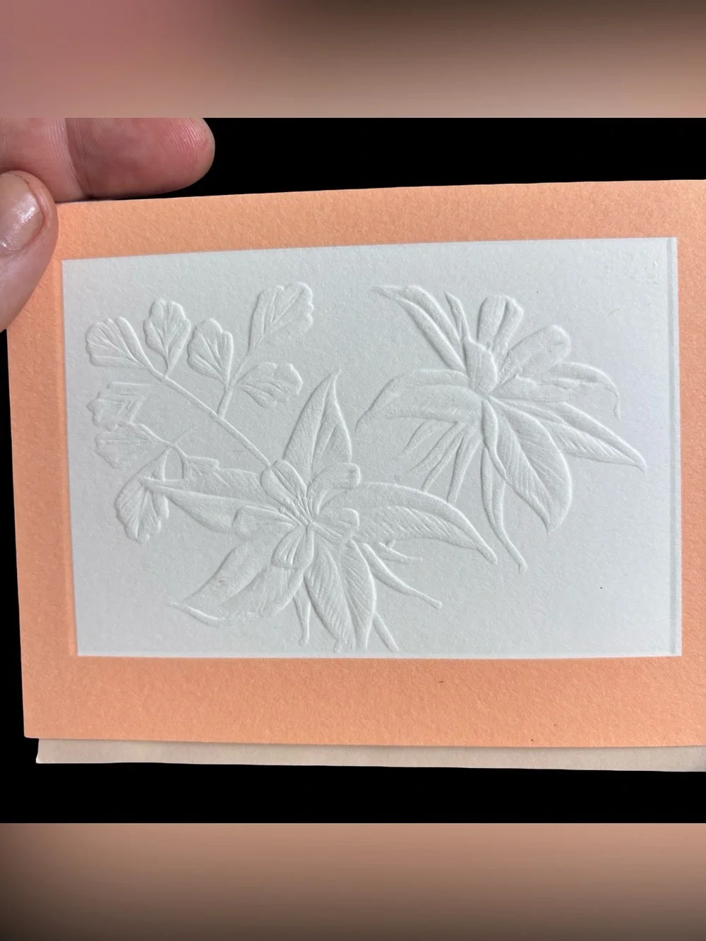 ~BUNDLE ONLY~3 VTG Current Inc Embossed Cards - Echos of the West Jay Johnson